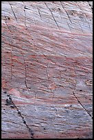 Rock wall with checkboard patterns, Zion Plateau. Zion National Park, Utah, USA.