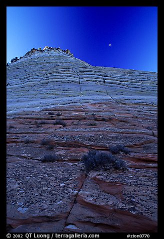 Checkerboard Mesa seen from base, Zion Plateau. Zion National Park (color)