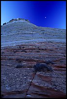 Checkerboard Mesa seen from base, Zion Plateau. Zion National Park, Utah, USA.