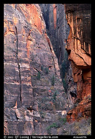 Canyon walls near Angel's landing. Zion National Park (color)