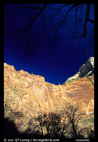 Temple of Sinawava. Zion National Park (color)