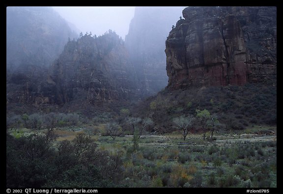 Rainy afternoon, Zion Canyon. Zion National Park, Utah, USA.