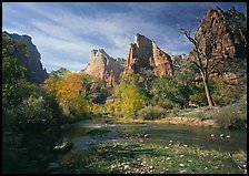 Court of the Patriarchs, Virgin River, and trees in fall color. Zion National Park, Utah, USA.