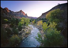 Virgin River and Watchman catching last sunrays of the day. Zion National Park, Utah, USA.