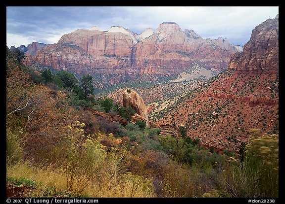 Towers of the Virgin in rainy weather. Zion National Park, Utah, USA.