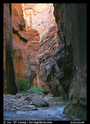 Virgin River and rock walls,  Narrows. Zion National Park, Utah, USA.