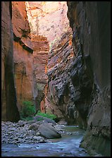 Virgin River and rock walls, the Narrows. Zion National Park ( color)