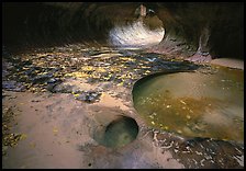 Pools and fallen leaves in autumn, the Subway. Zion National Park ( color)