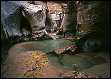 Pools and slot canyon rock walls, the Subway. Zion National Park, Utah, USA.