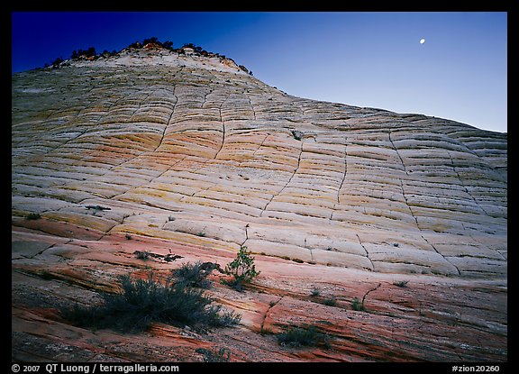 Checkerboard Mesa and moon. Zion National Park (color)