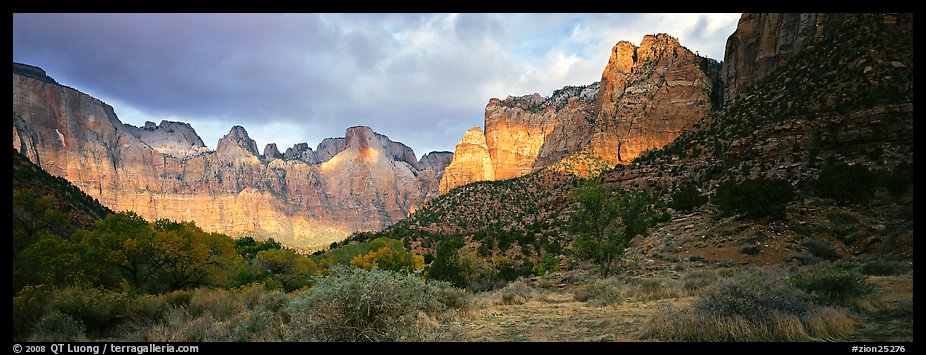 Amphitheater of tall towers. Zion National Park, Utah, USA.