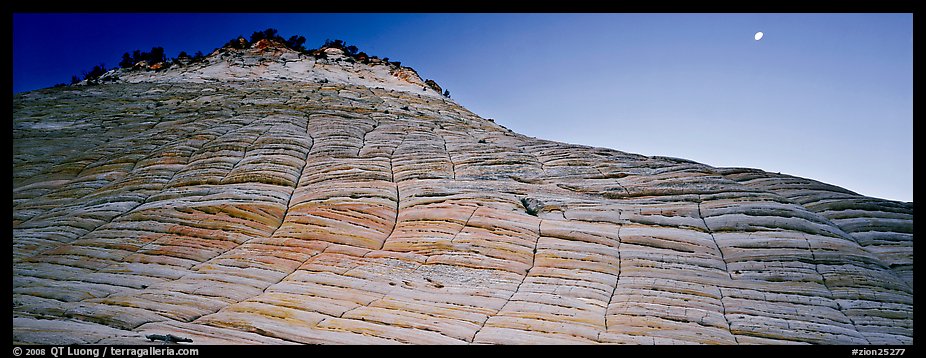 Checkered pattern on Checkboard Mesa. Zion National Park (color)