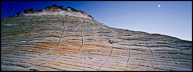 Checkered pattern on Checkboard Mesa. Zion National Park (Panoramic color)