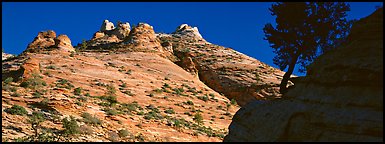 Sandstone swirls, Zion Plateau. Zion National Park (Panoramic color)