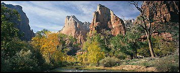 Landscape with trees and tall sandstone towers. Zion National Park (Panoramic color)