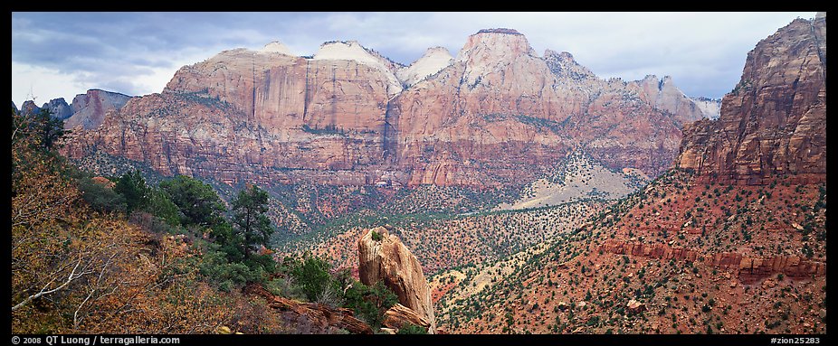 Towers of the Virgin View. Zion National Park, Utah, USA.
