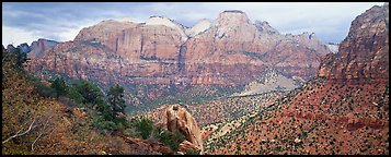 Towers of the Virgin View. Zion National Park (Panoramic color)