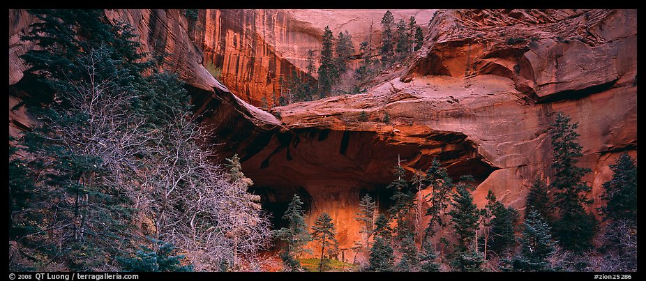 Double Arch Alcove, Kolob Canyons. Zion National Park (color)