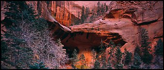 Double Arch Alcove, Kolob Canyons. Zion National Park (Panoramic color)