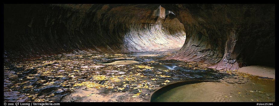 Tunnel-like opening and autumn leaves. Zion National Park, Utah, USA.
