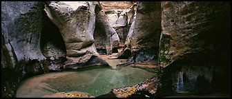 Sculptured walls of narrow gorge. Zion National Park (Panoramic color)