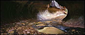Tunnel-shaped opening of the Subway. Zion National Park (Panoramic color)