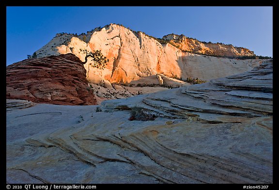 Swirls and cliffs at sunrise, Zion Plateau. Zion National Park, Utah, USA.
