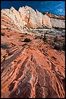 Sandstone swirls and cliff, Zion Plateau. Zion National Park, Utah, USA.