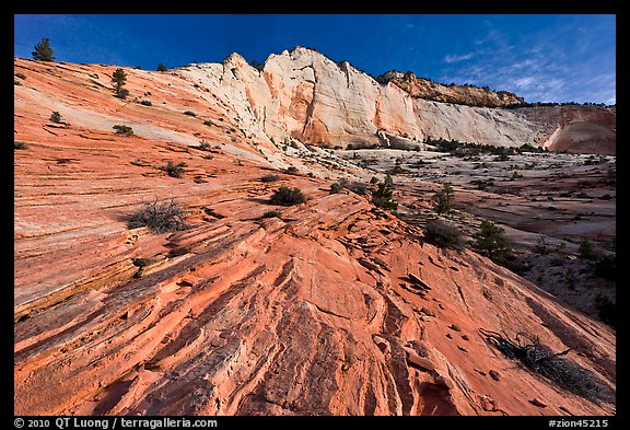 Pink sandstone swirls and white cliff. Zion National Park, Utah, USA.