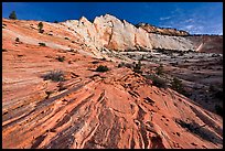 Pink sandstone swirls and white cliff. Zion National Park ( color)