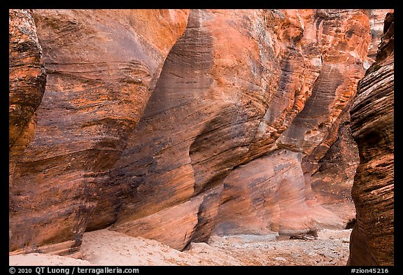 Rocks polished by water in gorge. Zion National Park (color)