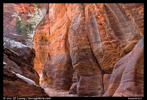 Rocks sculptured by water, Zion Plateau. Zion National Park (color)