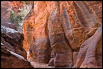 Rocks sculptured by water, Zion Plateau. Zion National Park, Utah, USA. (color)