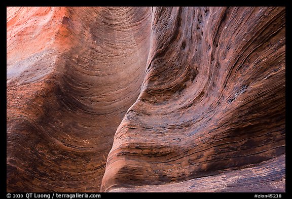 Detail of rock wall eroded by water. Zion National Park (color)