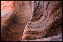 Detail of rock wall eroded by water. Zion National Park, Utah, USA. (color)