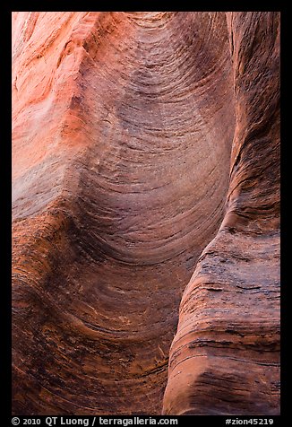 Detail of sandstone wall carved by flash floods. Zion National Park (color)