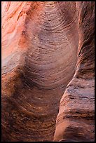 Detail of sandstone wall carved by flash floods. Zion National Park ( color)