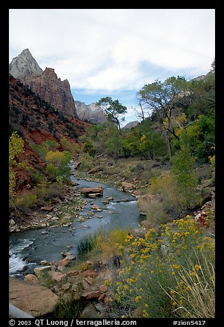 Virgin River in Zion Canyon, afternoon. Zion National Park (color)