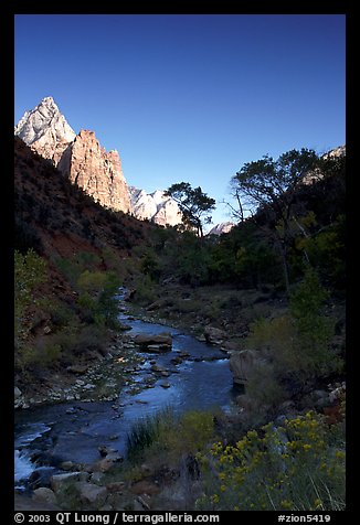 Virgin River and Court of the Patriarchs, early morning. Zion National Park (color)
