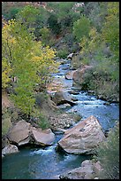 Virgin river, boulders, and trees. Zion National Park, Utah, USA. (color)