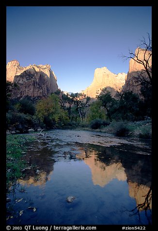 Court of  Patriarchs reflected in the Virgin River, sunrise. Zion National Park (color)