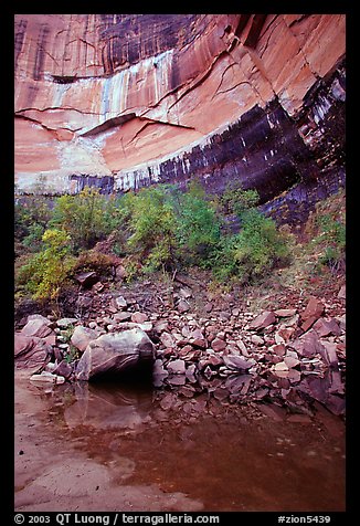 Multi-colored rock walls above the Third Emerald Pool. Zion National Park, Utah, USA.