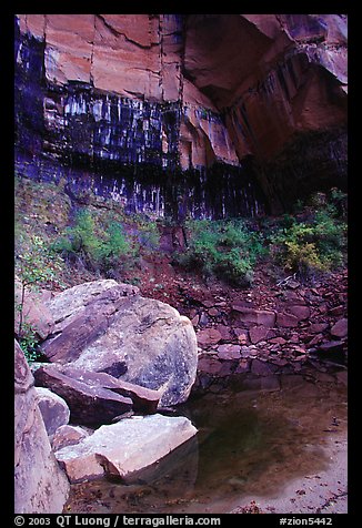 Boulders in  Third Emerald Pool. Zion National Park (color)