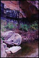 Boulders in  Third Emerald Pool. Zion National Park ( color)