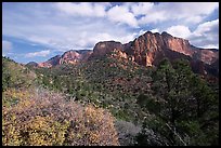 Finger canyons of the Kolob. Zion National Park ( color)