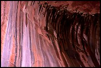 Striated rock in  base alcove of  Double Arch Alcove, Middle Fork of Taylor Creek. Zion National Park, Utah, USA. (color)