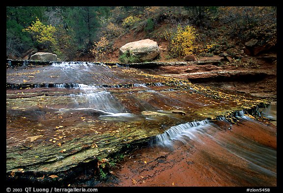 Terraced cascades, Left Fork of the North Creek. Zion National Park