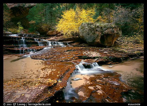 [open edition] Terraced cascades, Left Fork of the North Creek. Zion National Park