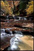 Archangel Falls, Left Fork of the North Creek. Zion National Park, Utah, USA. (color)