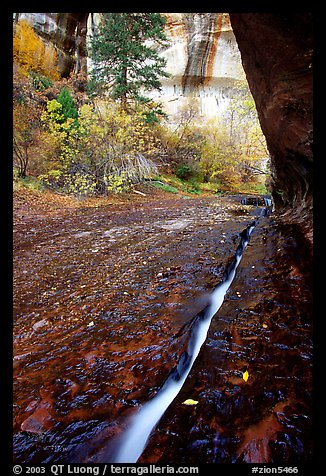 Left Fork of  North Creek flowing in a Six inch wide crack. Zion National Park, Utah, USA.